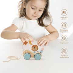 Wooden Montessori Puzzle Toy